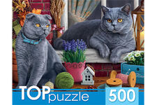 Пазл 500 TOPpuzzle Два британских кота