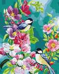 40*50 Картина по номерам Птицы на цветущей ветке
