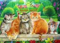 40*50 Картина по номерам Милые котята на скамеечке
