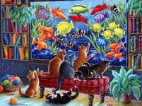40*50 Картина по номерам Игривые котята у аквариума