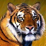 Алмазная мозайка 20*20 Бенгальский тигр
