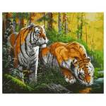40*50 Картина по номерам "Тигры на водопое" 