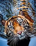Алмазная мозайка 22*32 Тигр на воде