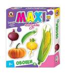 Макси-пазлы контурные Овощи 2-6 деталей