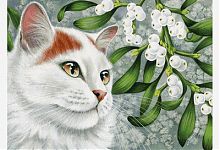 Алмазная мозайка 40*50 Красивый белый кот 
